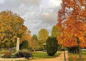 marchetti avis de décès château thierry